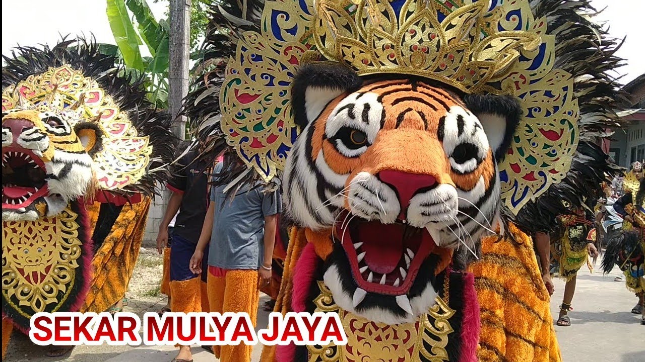 Super Meriah..! Kirab Khitanan Barongan Sekar Mulya Jaya & Nirwana Drumband Keliling Desa Cuati 