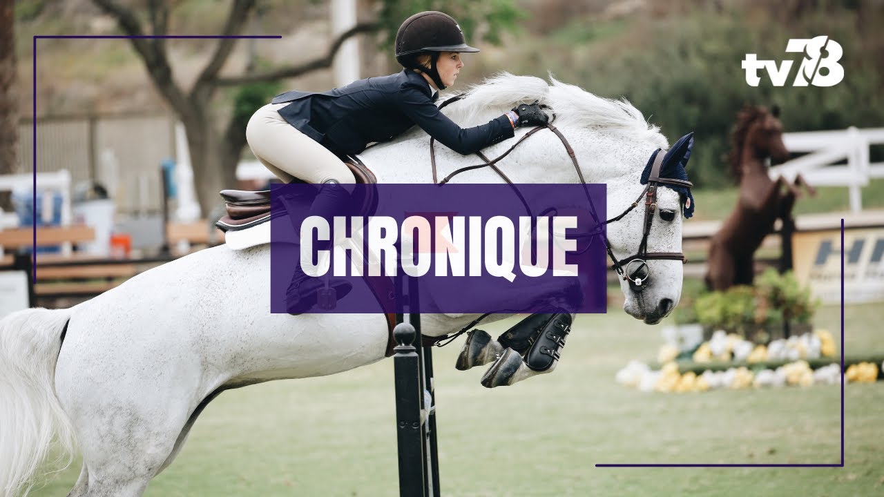 JO 2024 : on vous explique le concours complet d&rsquo;&eacute;quitation