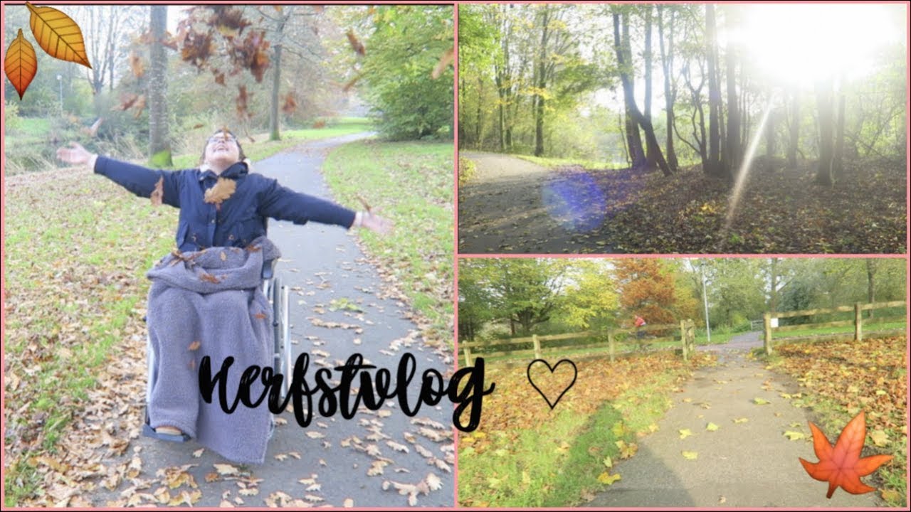 HERFSTVLOG ♡