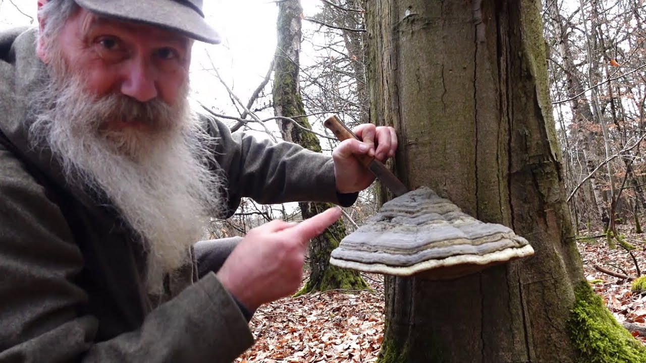 Lars Fält Knife in use, harvesting tinder, Fairy eggs and digging in to an old woodpeckers nest