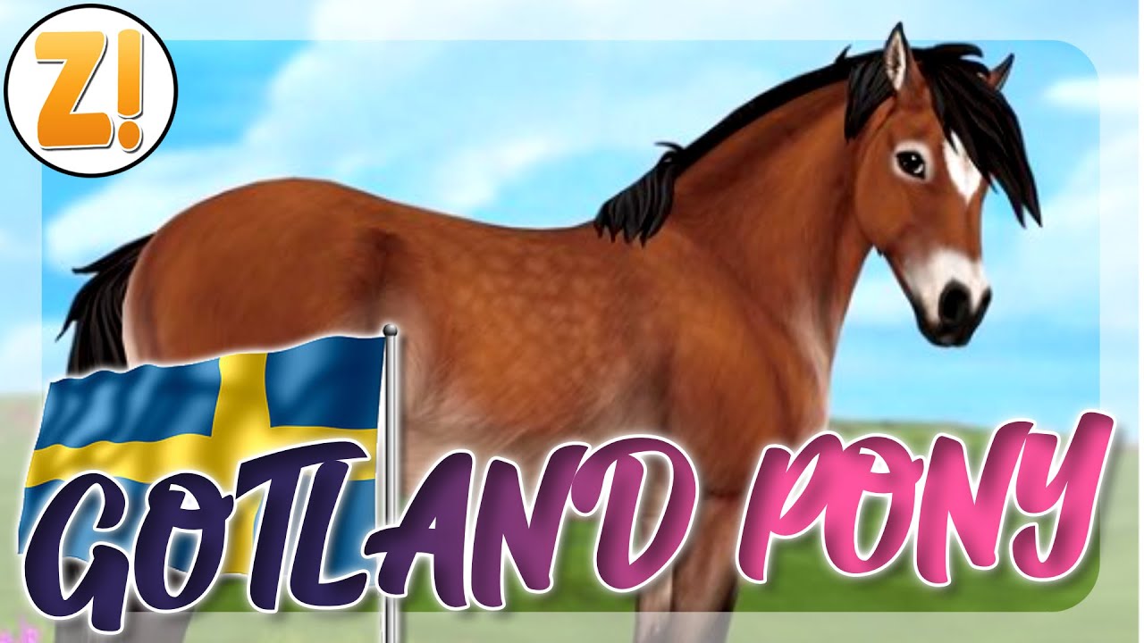 GOTLAND - PONY! 🐴 Die NEUE RASSE! | Star Stable  [SSO]