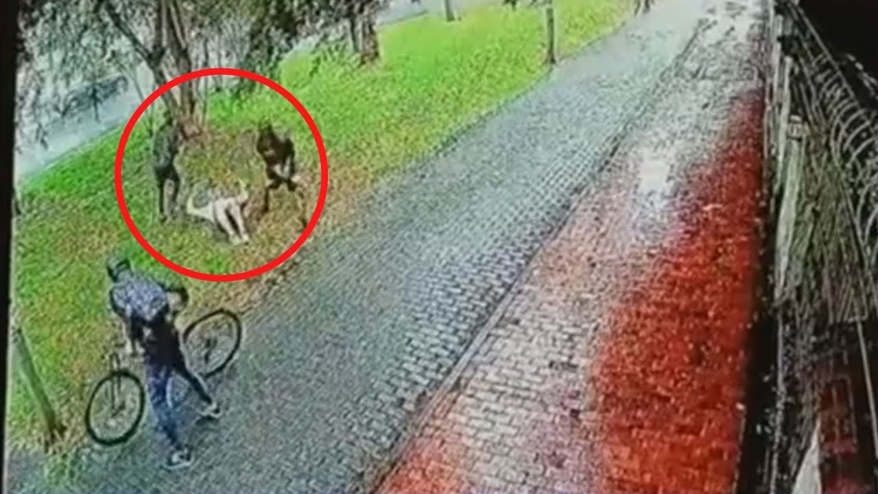 Impresionante hurto a ciclista en Bogotá: lo atacaron en gallada para tumbarlo y robarlo