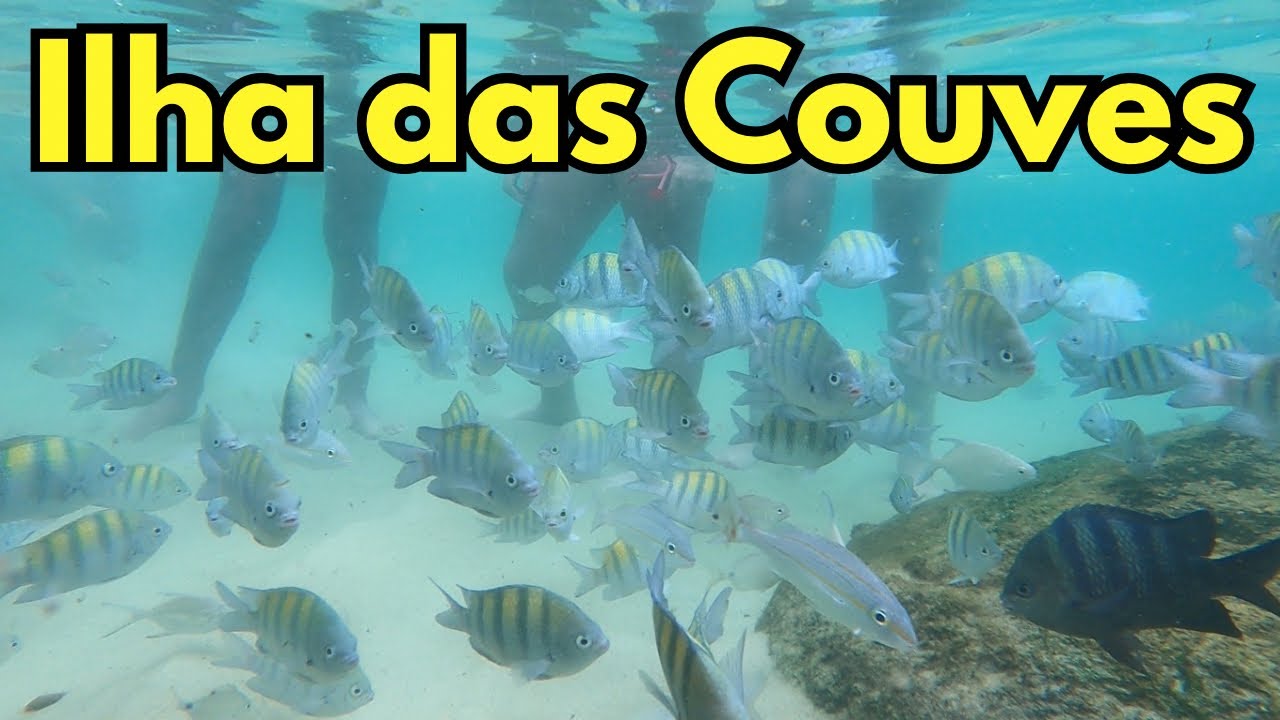 Como é linda a ILHA DAS COUVES | Ubatuba SP
