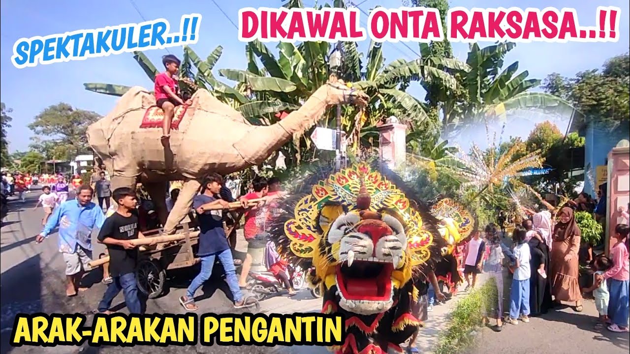 Panjang Banget‼️Arak-arakan Pengantin Dikawal 26 Kuda Hias Barongan & Onta Raksasa