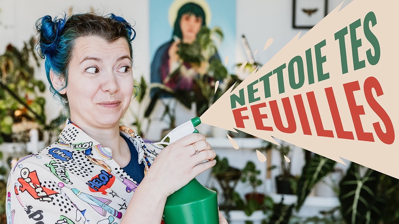 🪴 TUTO PLANTE 🌱  Lutte contre les Nuisibles et Améliore la Photosynthèse de tes plantes 👩‍🌾