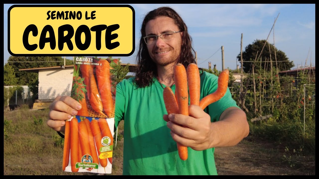 🥕 COME e QUANDO seminare le CAROTE utilizzando la BAULATURA! 🥕 | Tutorial Agricoltura