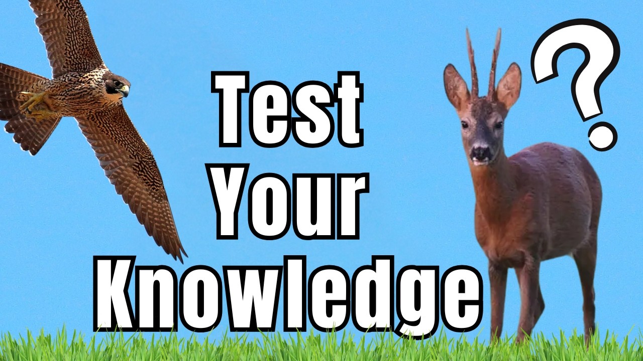 Can you Answer these 8 Wildlife Questions Correctly? --- Wildlife Quiz of the Week!