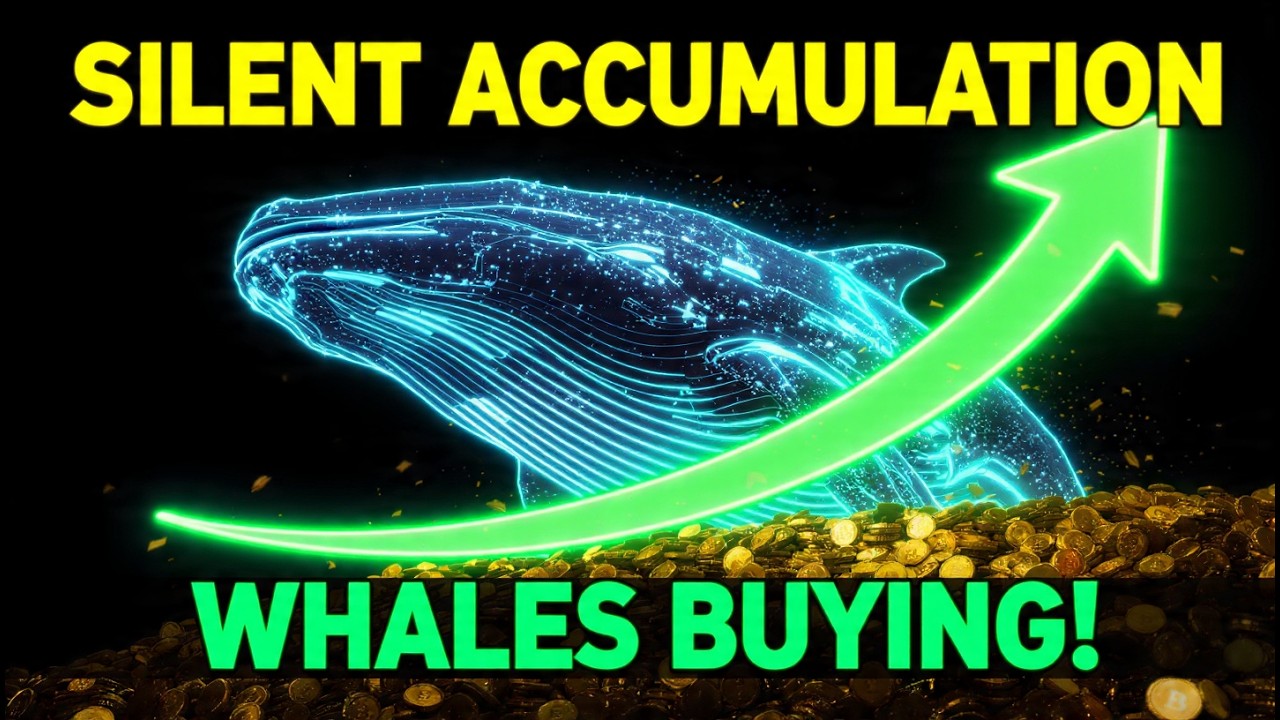 Silent Accumulation: What On-Chain Data Reveals About Bitcoin