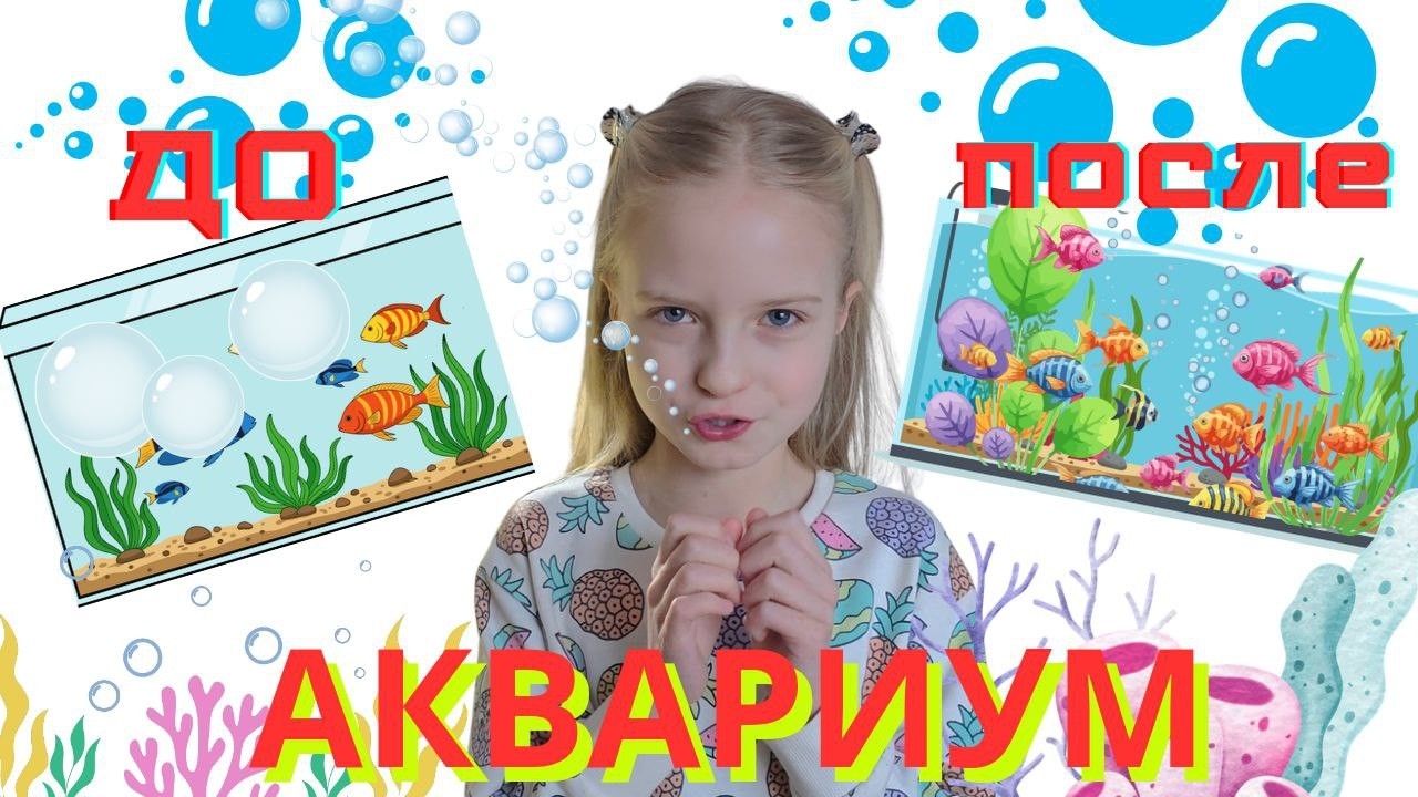 Мы обустраиваем новый аквариум привозя рыбок из Голландии и воплощая творческие идеи!