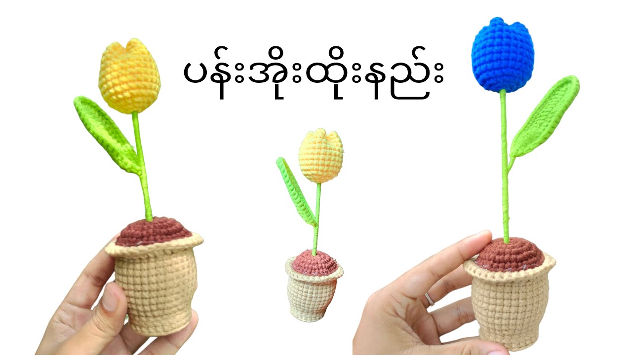 ကျုလစ်ပန်းအိုးထိုးနည်း