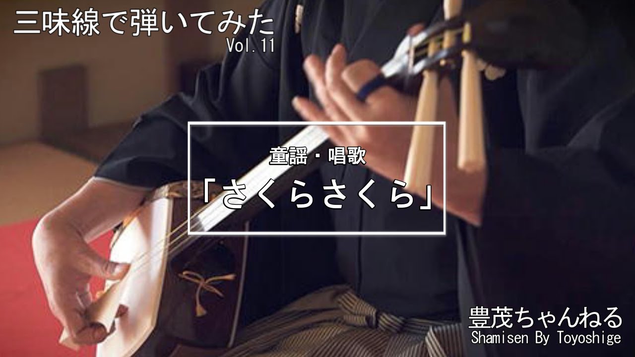 【三味線で弾いてみた】童謡・唱歌「さくらさくら」