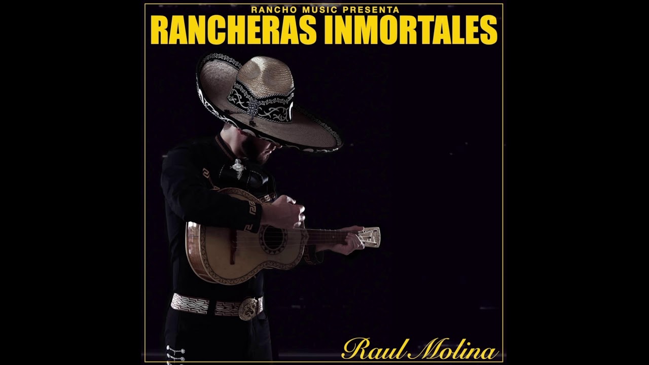 Raul Molina- Si No Te Hubieras Ido