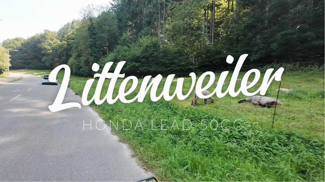 Grabbing Lunch in Littenweiler with the Honda Lead