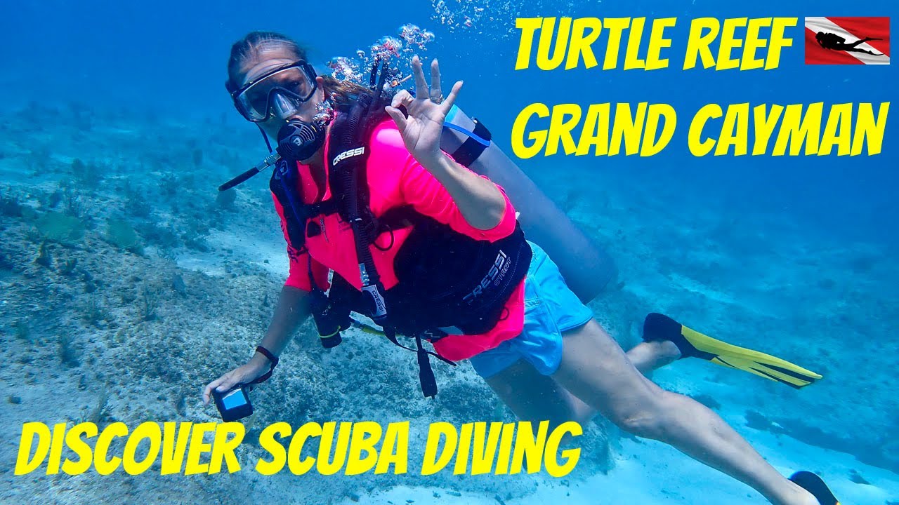 Diving Turtle Reef in Grand Cayman