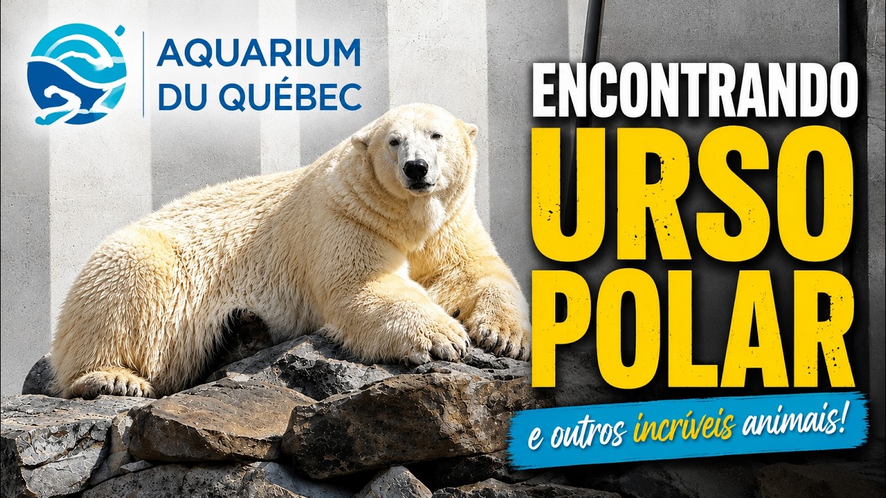 Aquário de Quebec: URSO POLAR, TÚNEL DE VIDRO, TUBARÃO, ARRAIAS, FOCAS, CAVALO MARINHO, PEIXES…