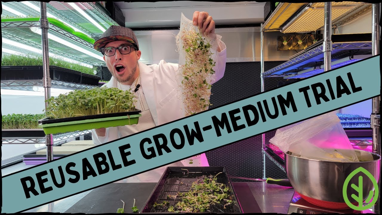 Stainless Steel vs Polypropylene Reusable Medium for Microgreens &mdash; Which Lasts Longer?