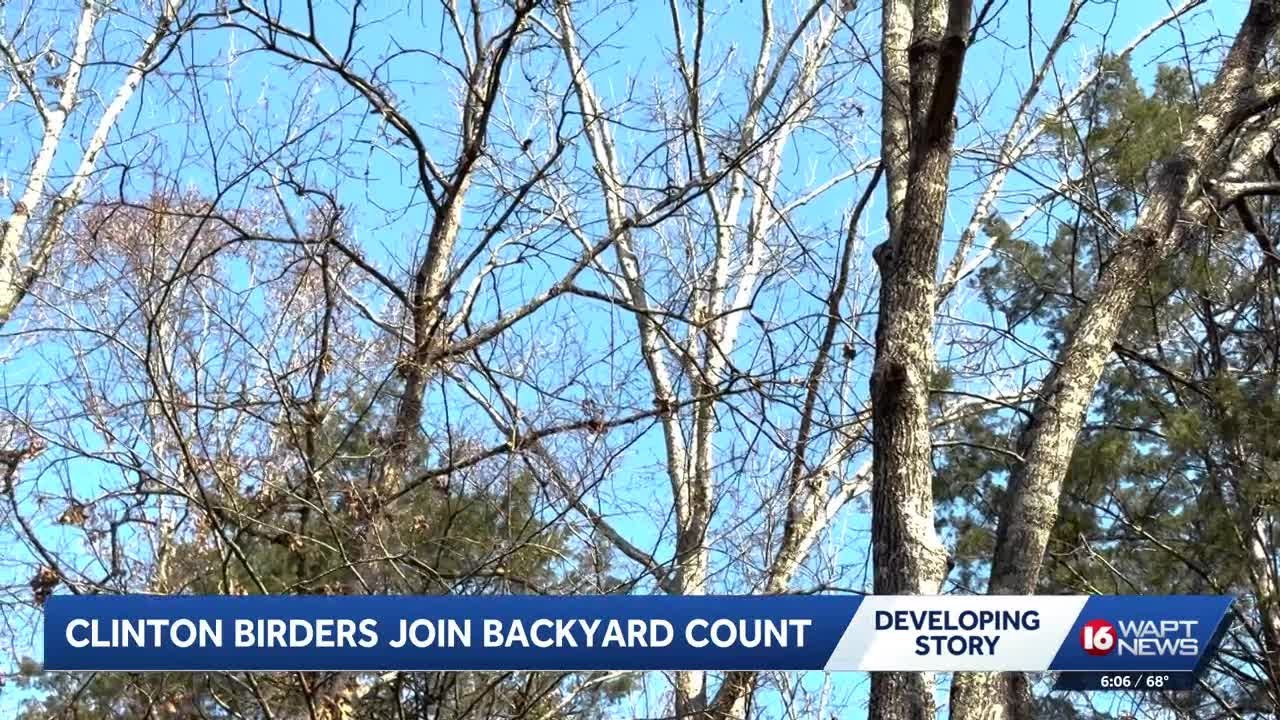 Do you like birds and county? Join the Great Backyard Bird Count Feb. 13-16