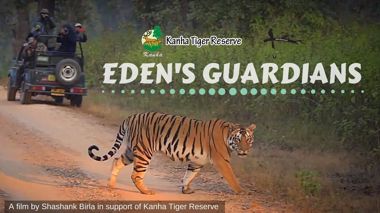 Kanha National Park: Eden's Guardians: MP Forest Guard Documentary