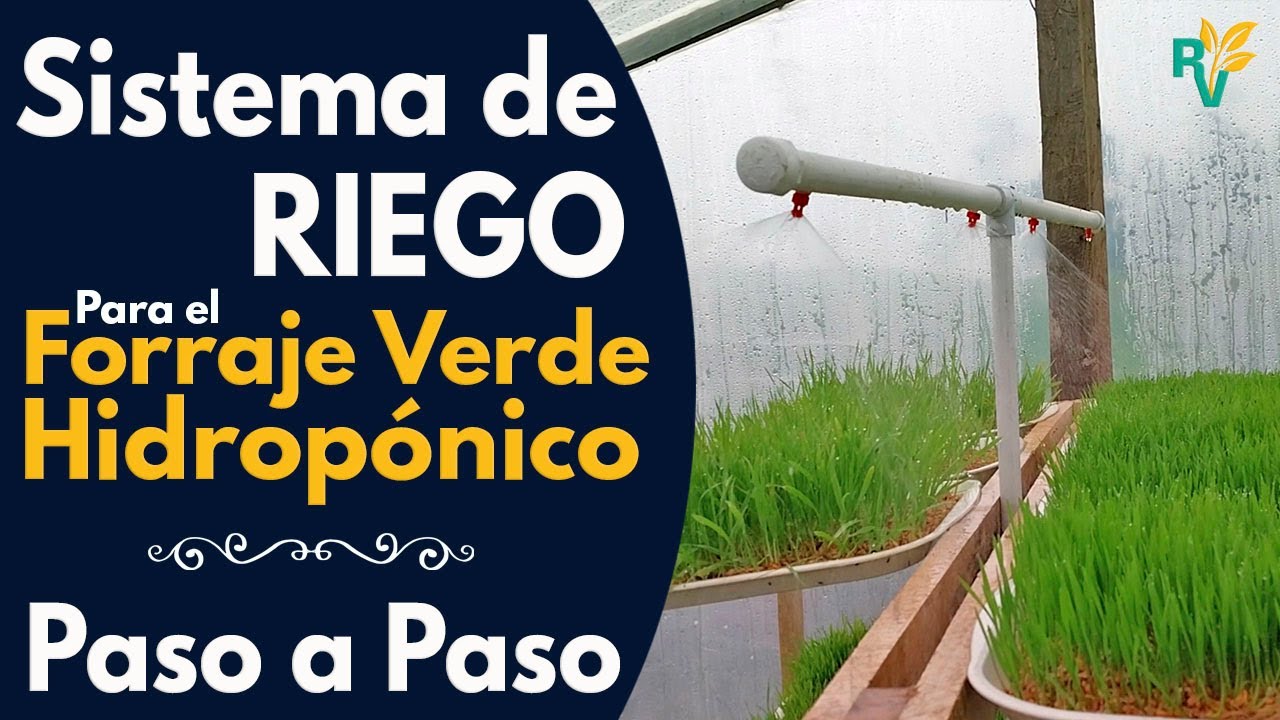 Aprende el Sistema de Riego para (FVH) Forraje Verde Hidropónico