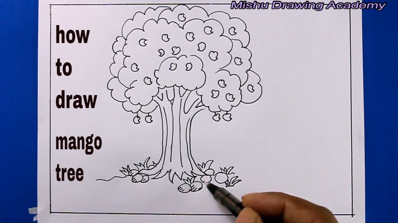 How TO Draw mango tree easy/mango tree drawing