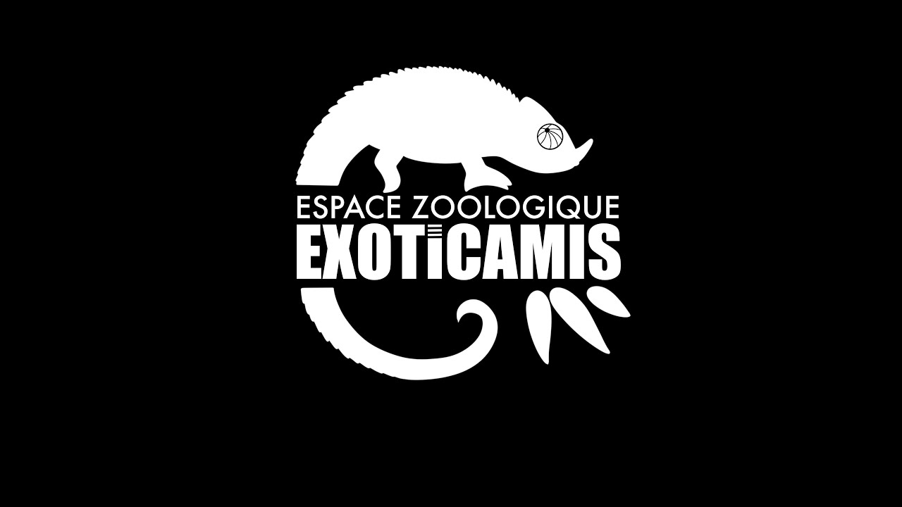 Présentation du parc et du Corallus hortulanus