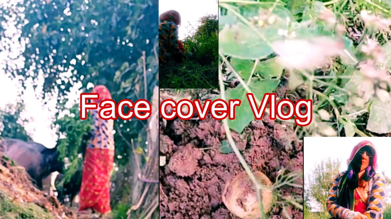 Face cover with Village Style || Face Cover Vlogs || Mini Face Cover Vlogs @RituKumawat