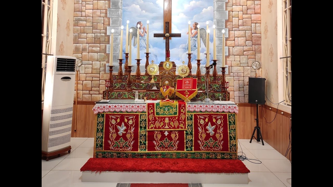 വി.കുർബാന LIVE - 15/02/2026 SUNDAY - ST JOSEPH'S CATHEDRAL, KOTTAYAM..