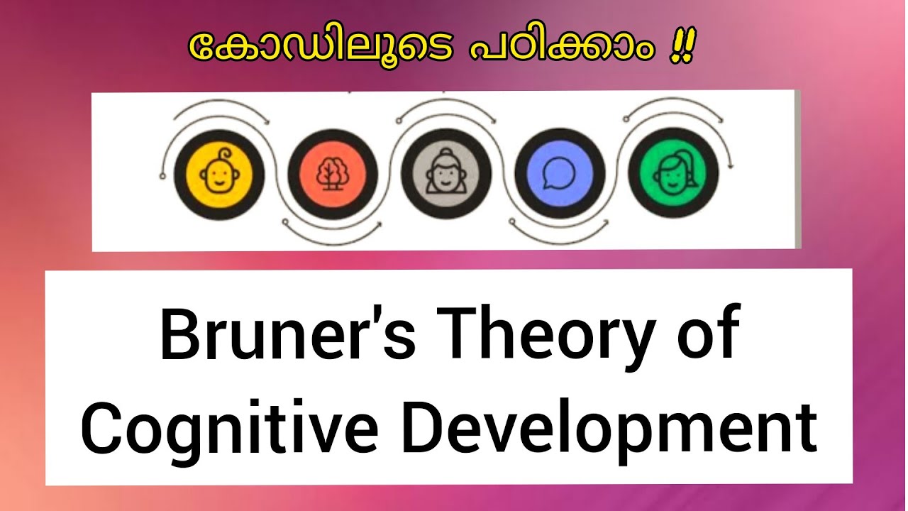BRUNNER'S THEORY OF COGNITIVE DEVELOPMENT, KTET / PSYCHOLOGY