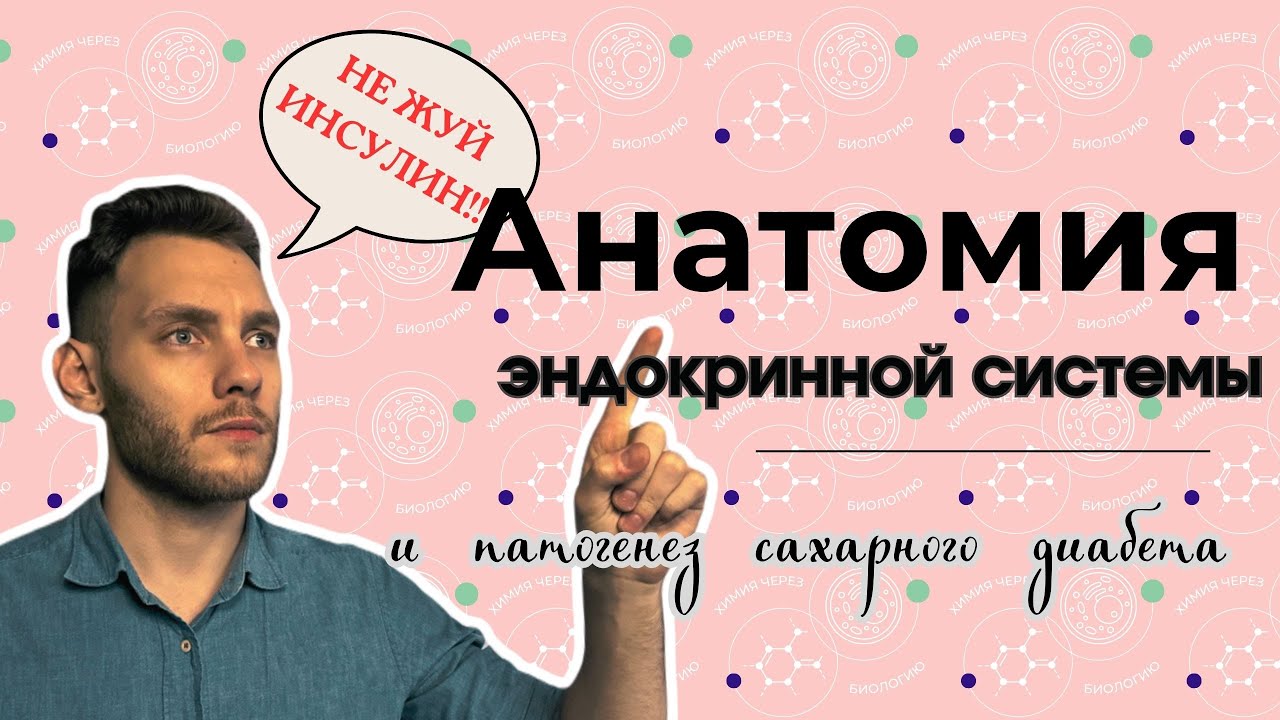 ЭНДОКРИННАЯ СИСТЕМА ЗА 13 МИНУТ!!!