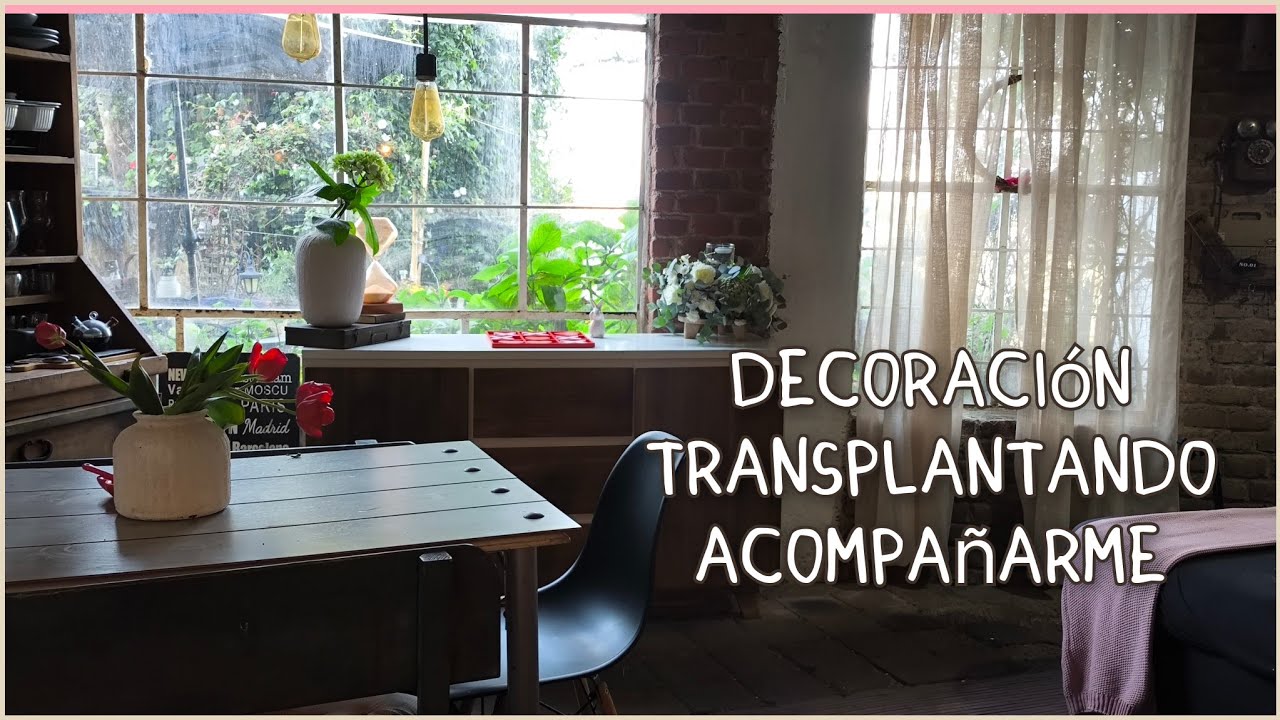 Decoración san Valentín /  regalos del 14 de febrero/ transplantando en el jardín y más 