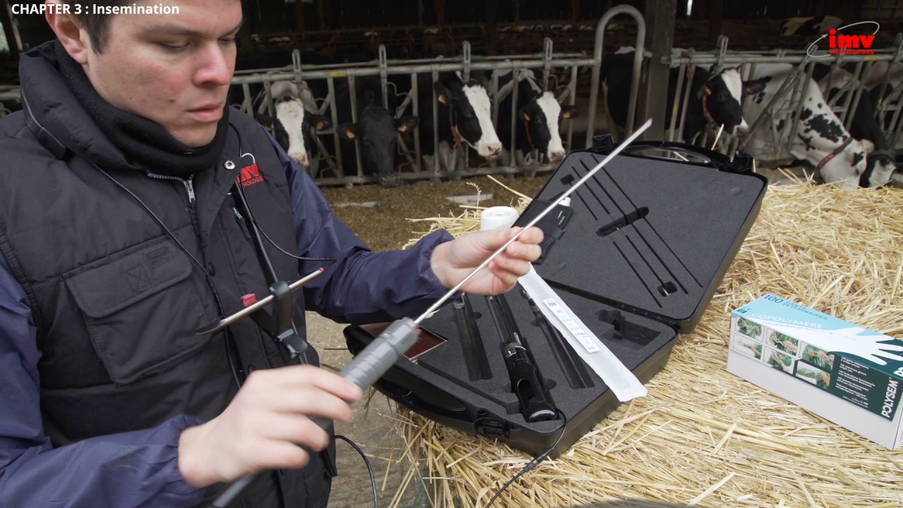 IMV   AlphaVision tutorial video