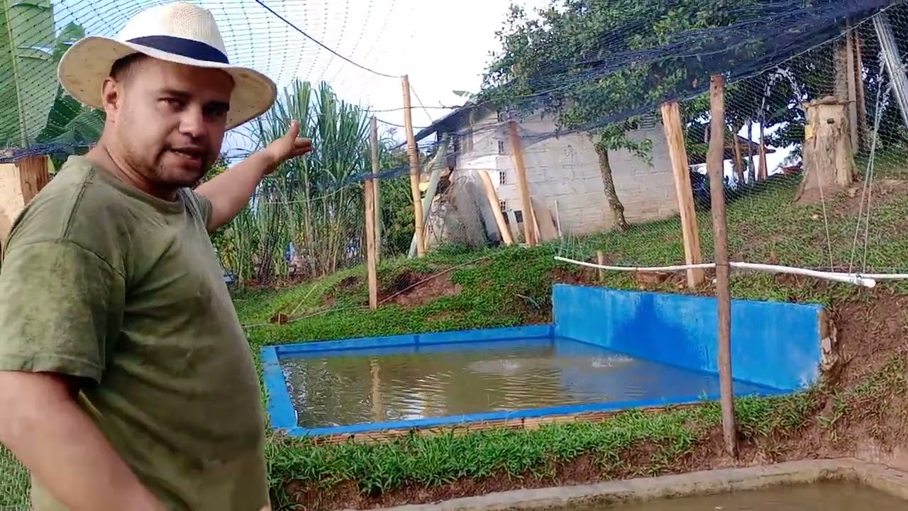 cómo hacer un criadero de peces ahorrando agua y dinero