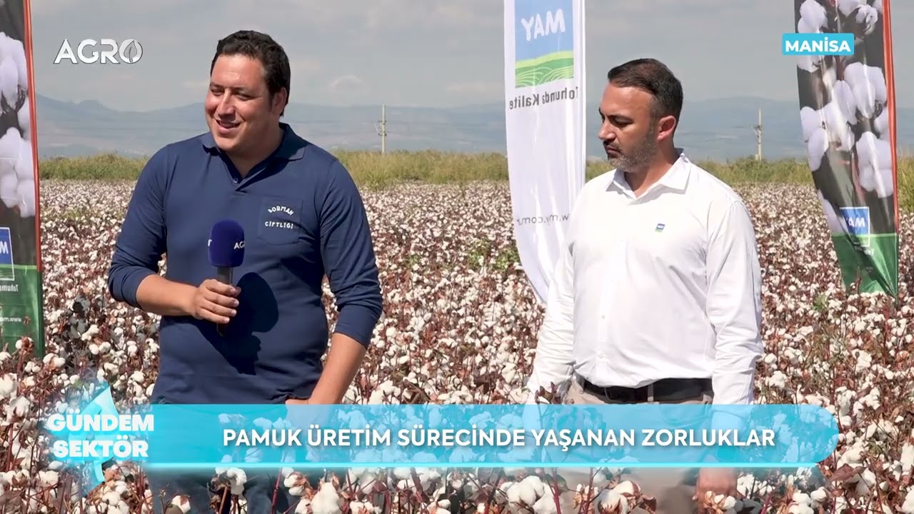 Pamukta Verimin Sırrı: Manisa’da May Tohum Tarla Günü! / Gündem Sektör