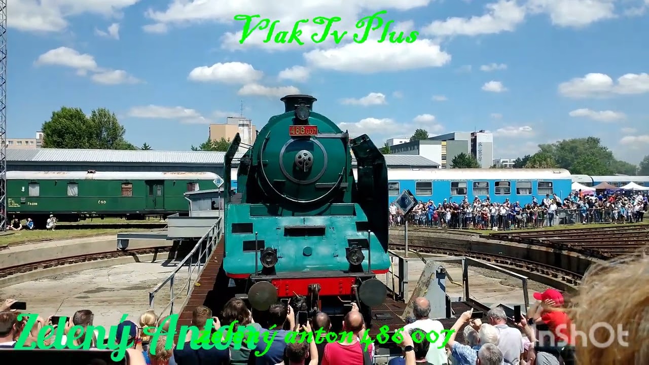 Zelený Anton 486 007