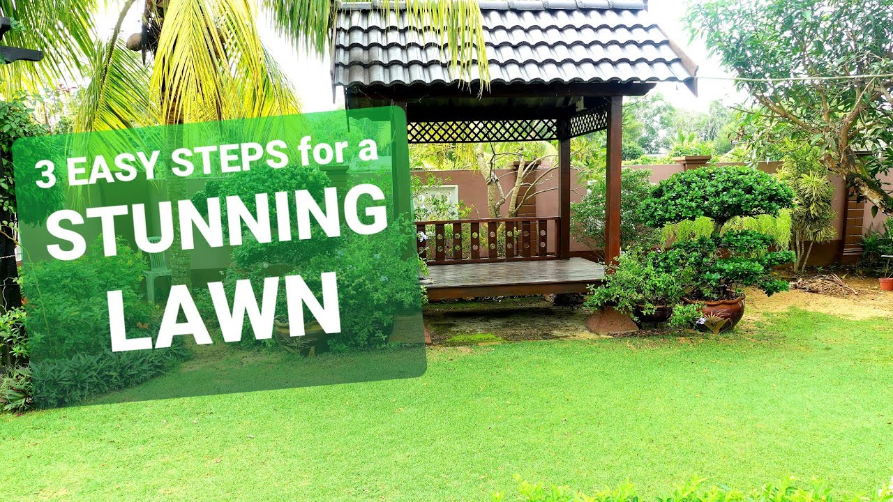 3 cara ASAS & SIMPLE penjagaan rumput. Cantik subur menghijau (Phillipine Grass)