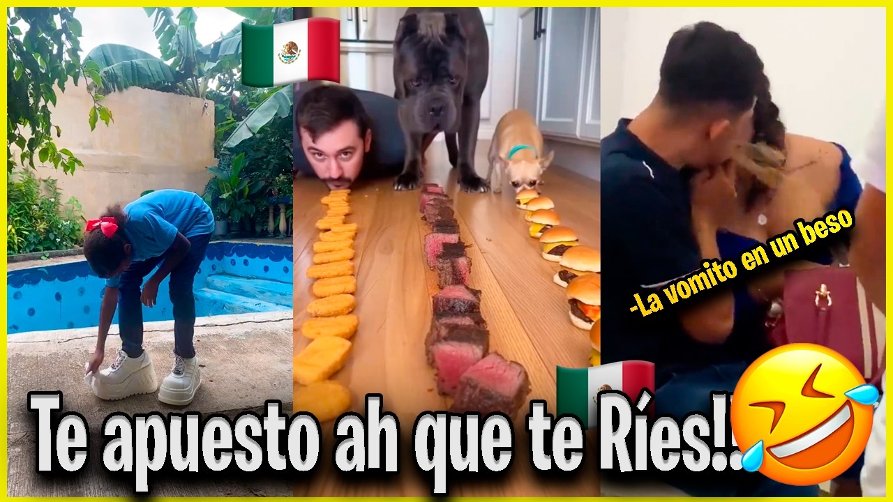 Si te Ries Pierdes NIVEL EXTREMO!!! 😂😵‍💫 # 10 Humor, Caídas y más...
