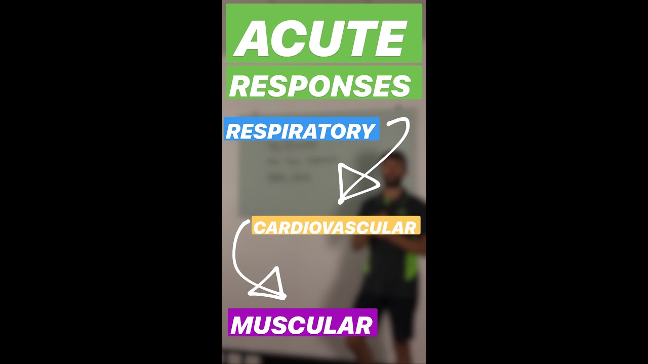 VCE PE - Acute Responses To Exercise