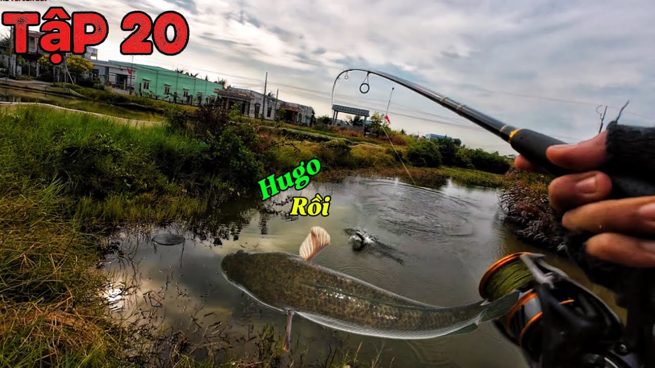 Câu cá lóc tập 20.Gặp hugo rồi cả nhà ơi ! Spearfishing vietnam!@Thú Vui Săn Bắt