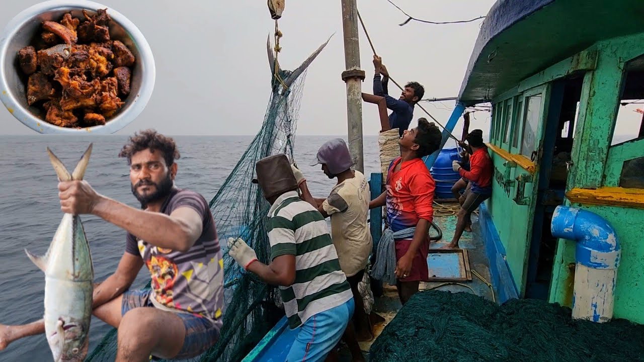 பாறை மீன் பொரித்து கஞ்சி குடித்தோம்,மீன்பிடிக்கும் பொழுது மழையும் பெய்தது|Day-11|S02-EP23