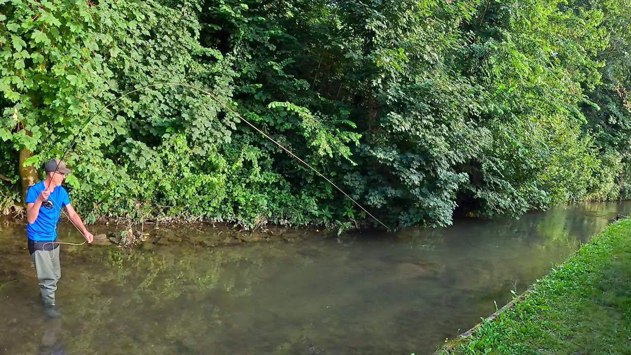 Pêche à la mouche sur la Clarence - truites de 40+ en sèche