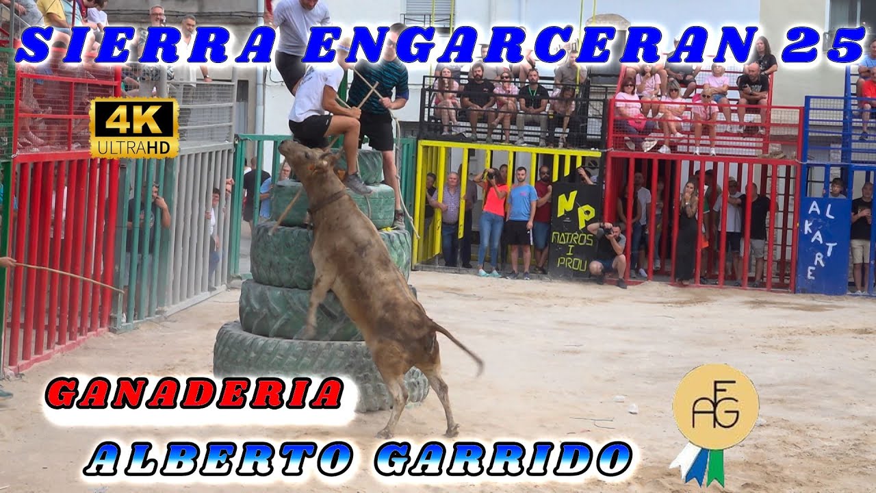 💯▶️4K-SIERRA ENGARCERAN 2025 ALBERTO GARRIDO