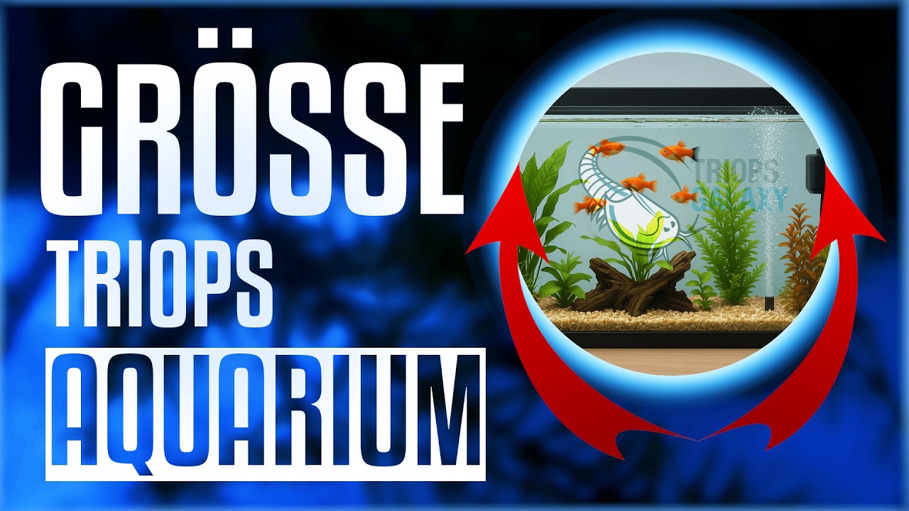 Wie groß muss ein Triops-Aquarium sein? 🦐