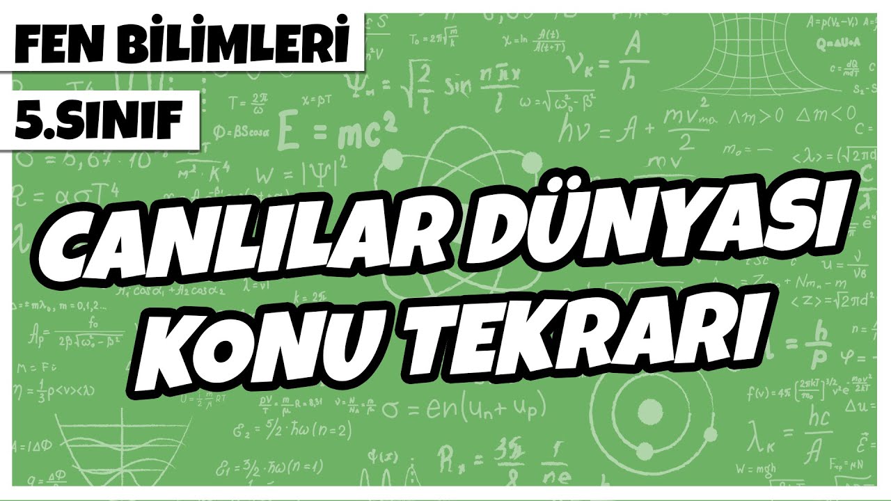 5. Sınıf Fen Bilimleri - Canlılar D&uuml;nyası Konu Tekrarı | 2022