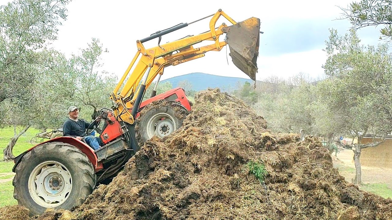 Preparando el estiércol pa la huerta, el mejor abono que hay digan lo que digan
