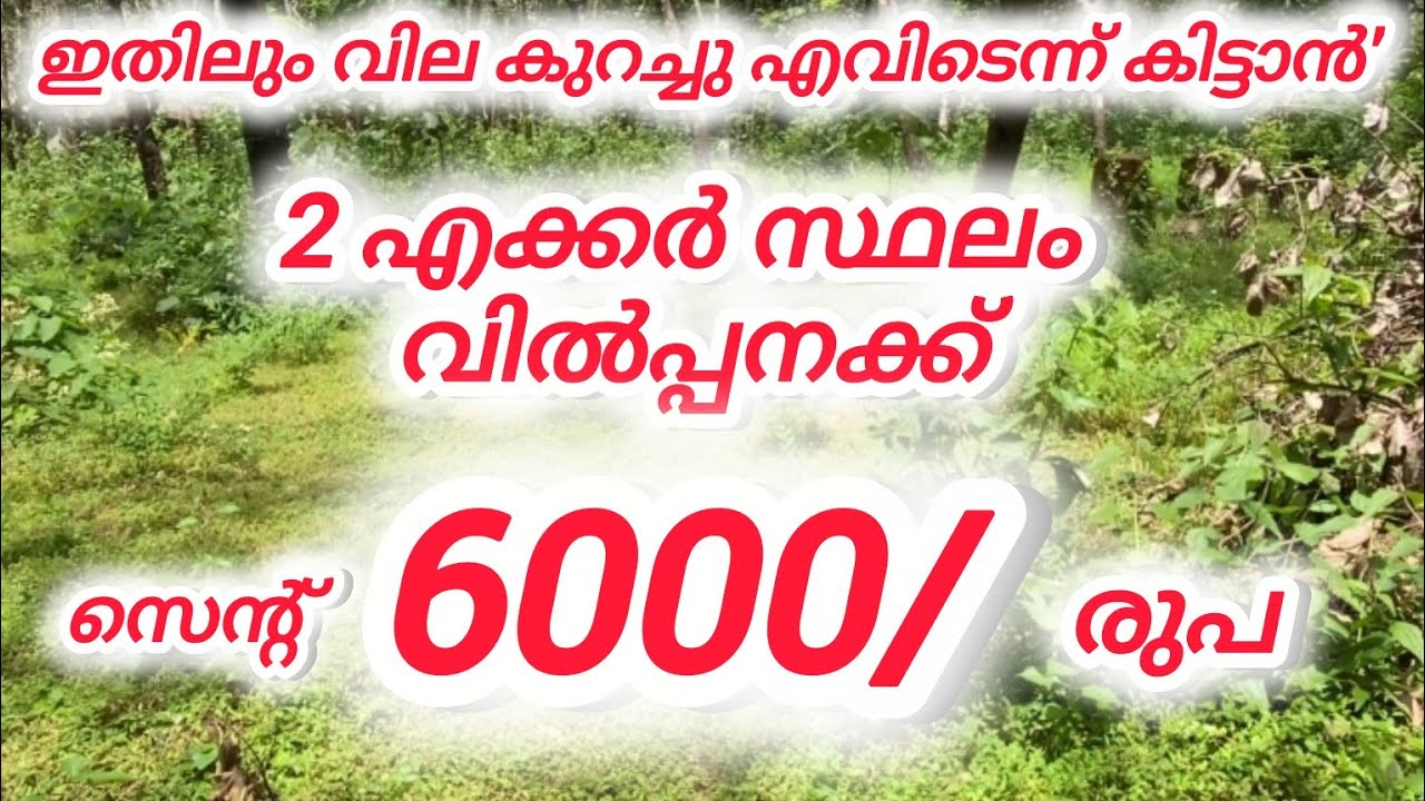 2 acer land 12 lakh#vairal #kerala #keralaproperty #house 
