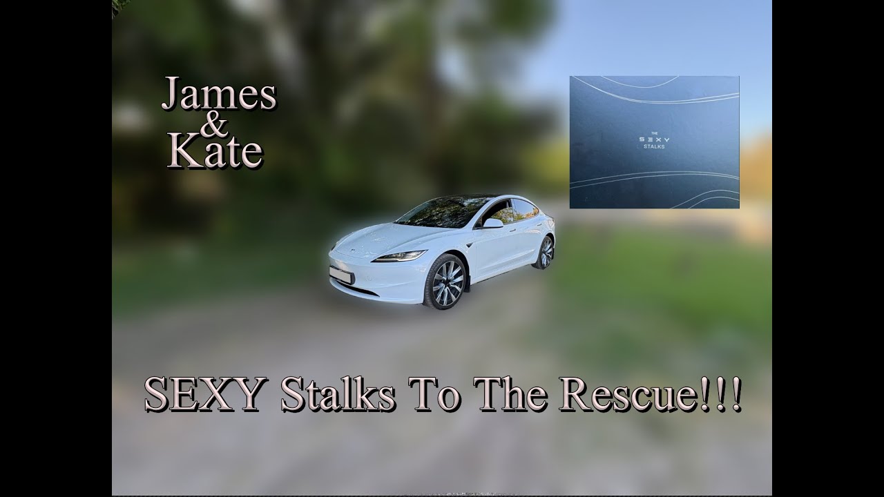SEXY Stalks for 2025 Tesla Model 3 Highland