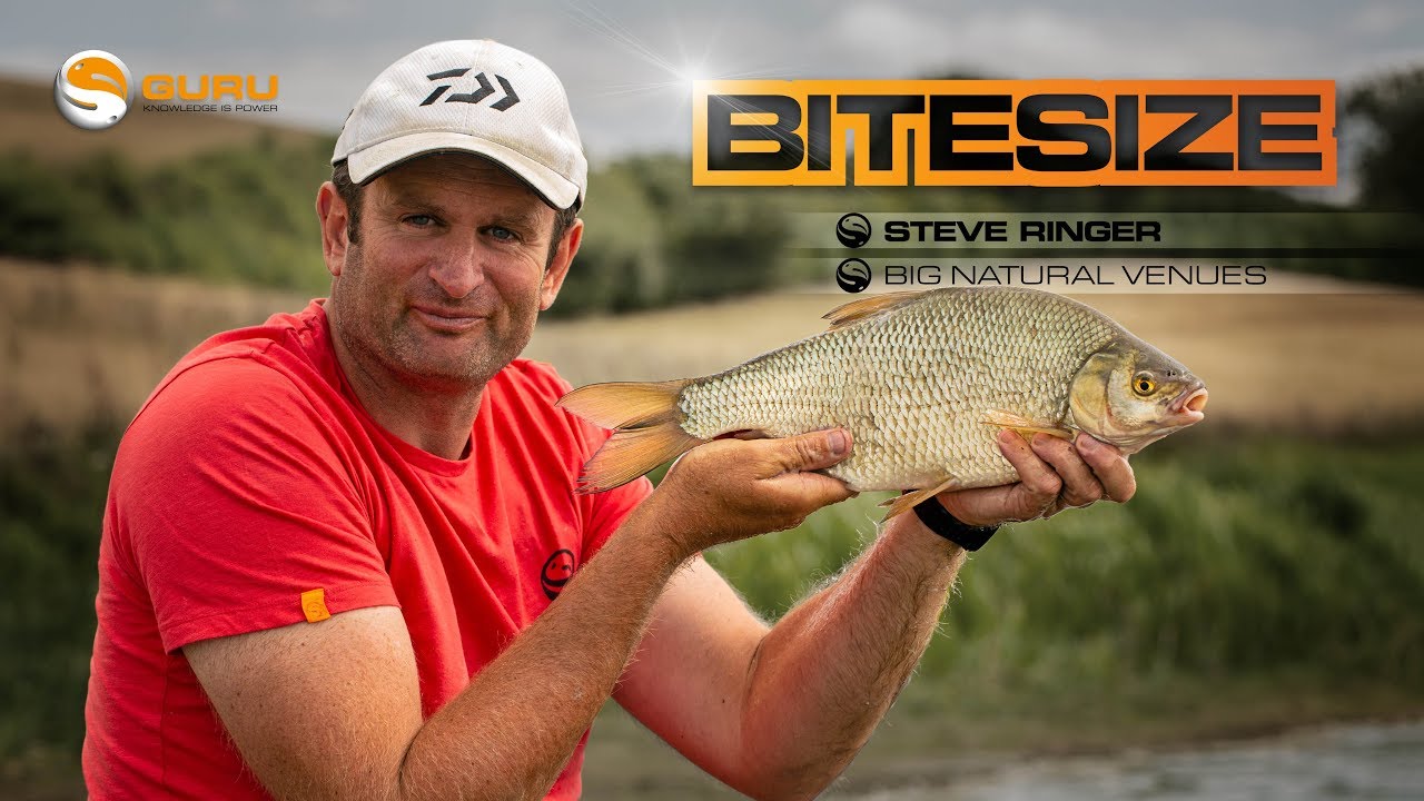 Big Natural Venue  - Steve Ringer | Guru Bitesize #005