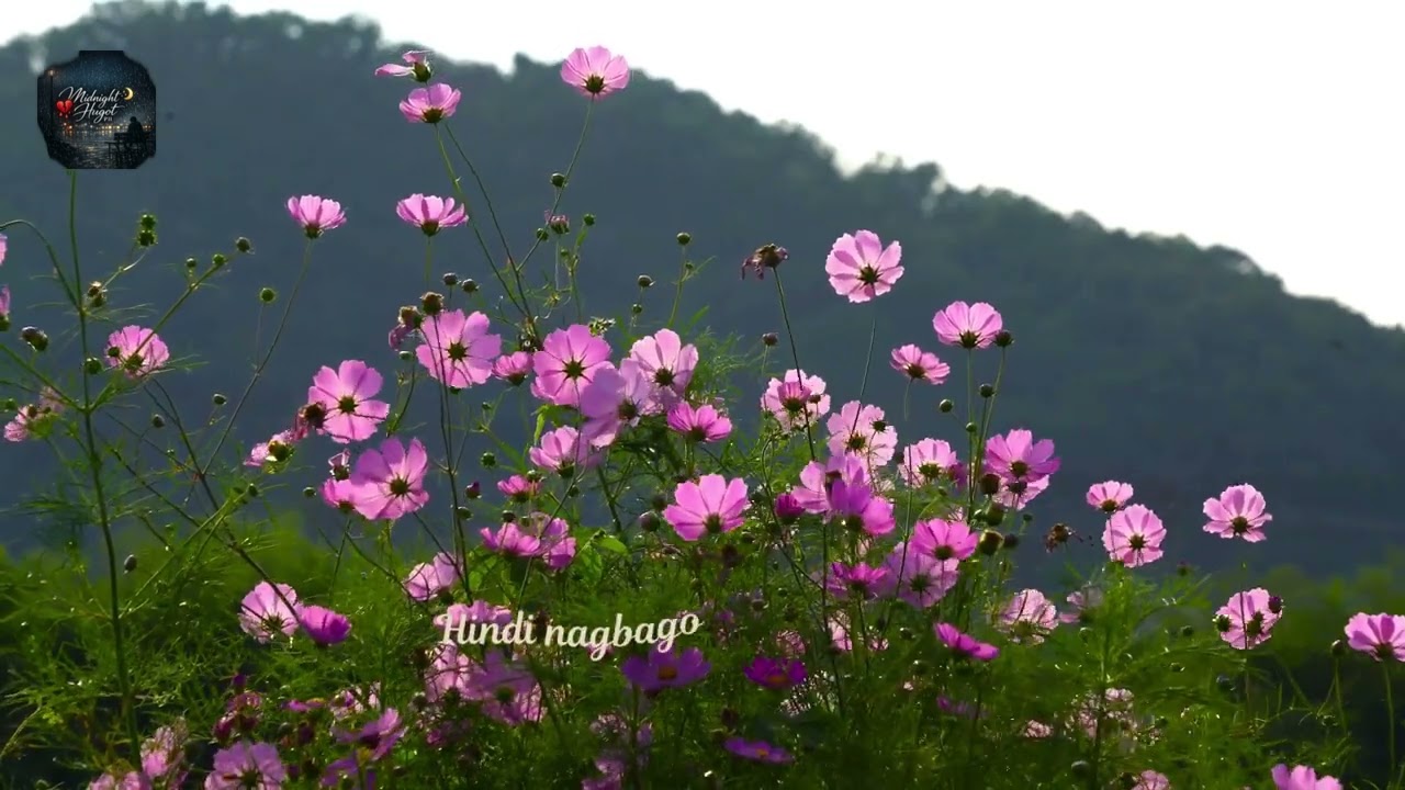 Hanggang Ngayon