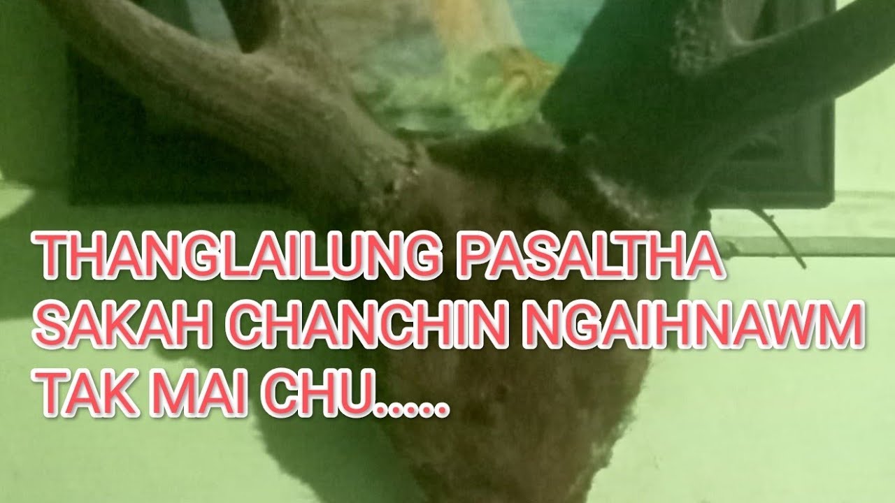 Pu J Lalchungnunga Thanglailung pasaltha part 3 sakah chanchin ngaihnawm tak mai chu...