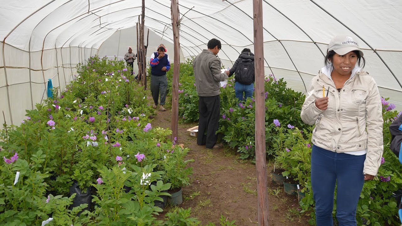 Introducing Biocultural Heritage Territories